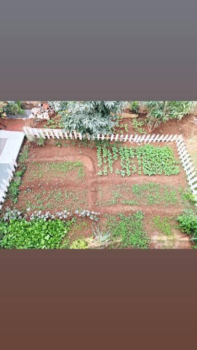 Saifarms Private Farmhouse Between Pune & Lonavala Nethersole Dam Экстерьер фото
