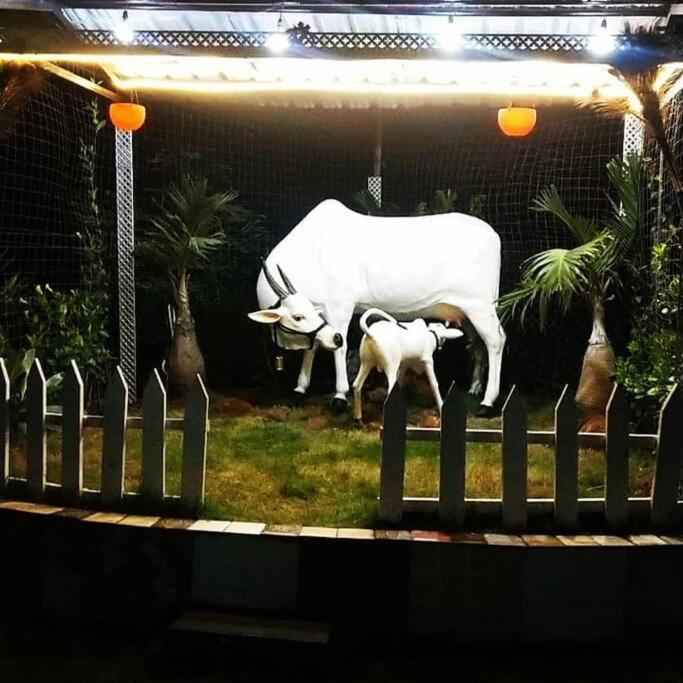 Saifarms Private Farmhouse Between Pune & Lonavala Nethersole Dam Экстерьер фото