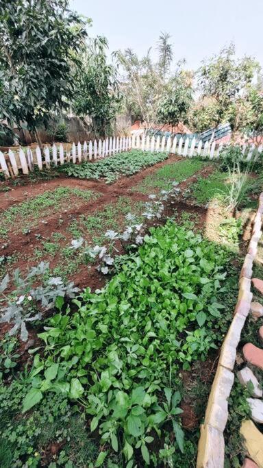 Saifarms Private Farmhouse Between Pune & Lonavala Nethersole Dam Экстерьер фото