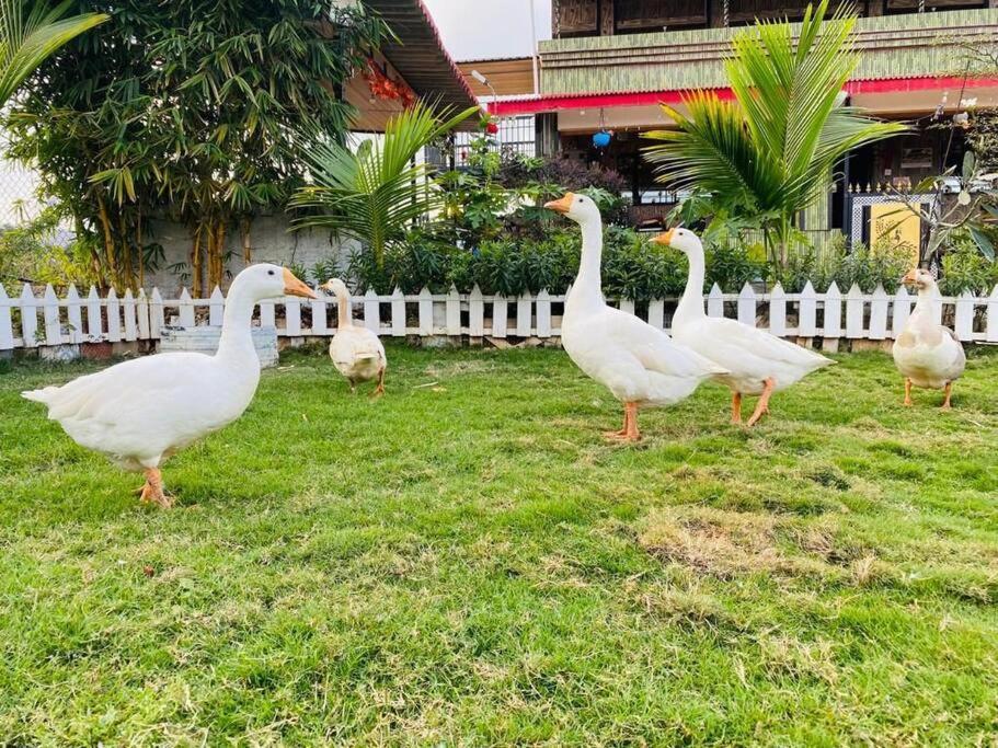 Saifarms Private Farmhouse Between Pune & Lonavala Nethersole Dam Экстерьер фото