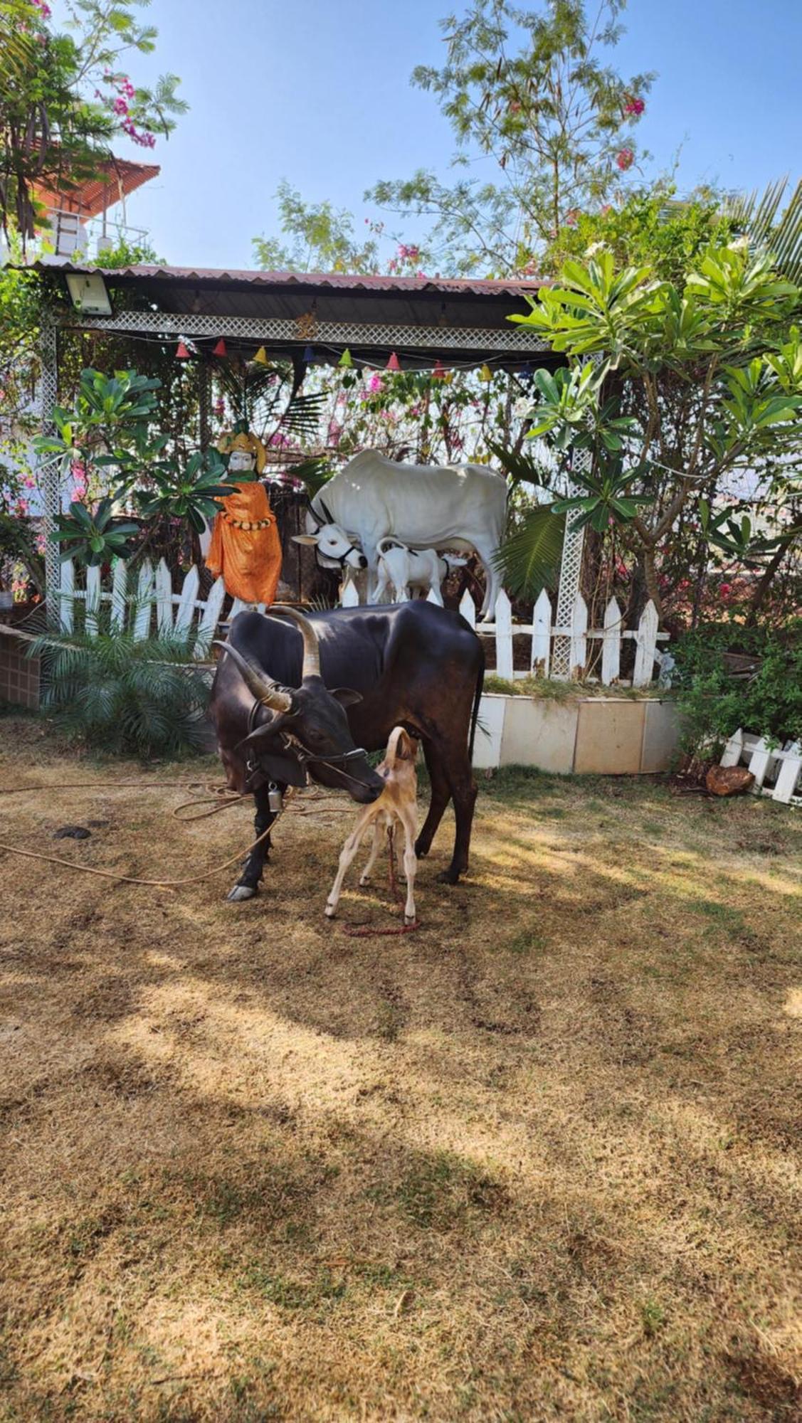 Saifarms Private Farmhouse Between Pune & Lonavala Nethersole Dam Экстерьер фото